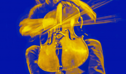 Livestreams Cello Biennale